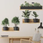 3PCS Green Plant Cactus Potted Wall Stickers for Bedroom Living Room Bathroom Home Decoartion Wall Decals