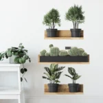 3PCS Green Plant Cactus Potted Wall Stickers for Bedroom Living Room Bathroom Home Decoartion Wall Decals